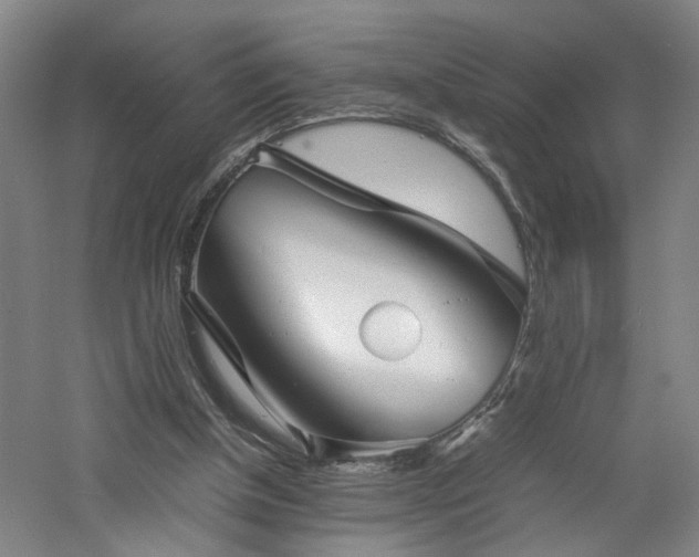 X0000060780154200511101349