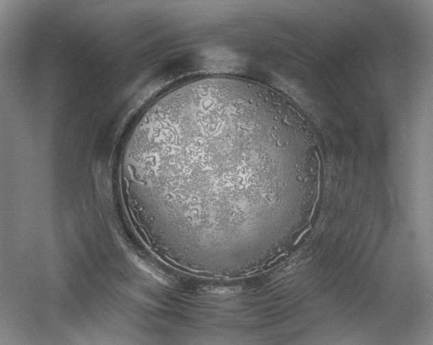 X0000060780155200511101349