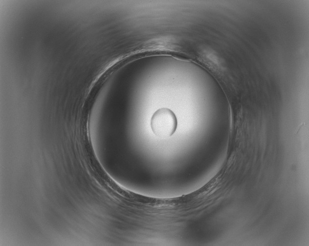 X0000060780156200511101349