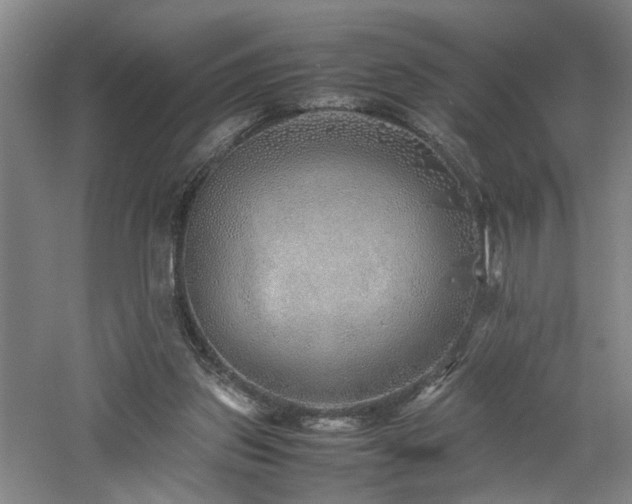 X0000060780157200511101349