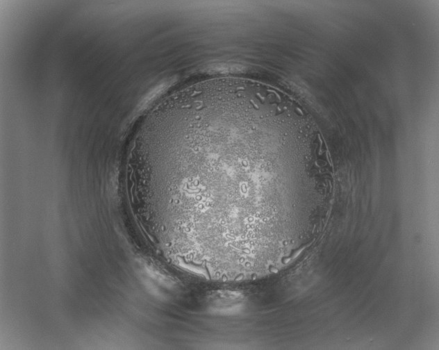 X0000060780159200511101349