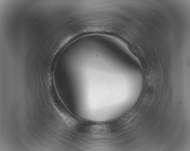 X0000060780160200511101349