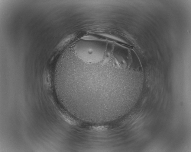 X0000060780161200511101349