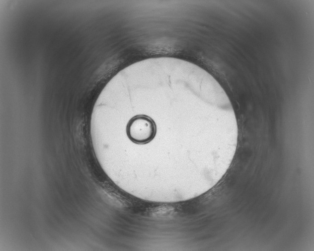 X0000060780162200511101349