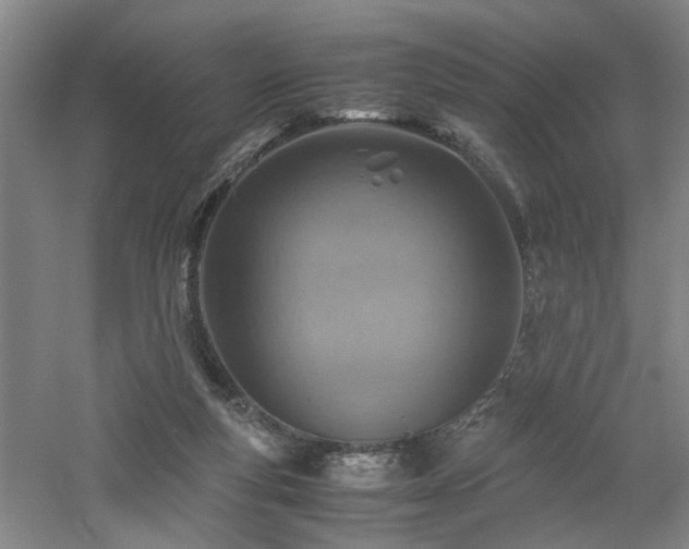 X0000060780163200511101349