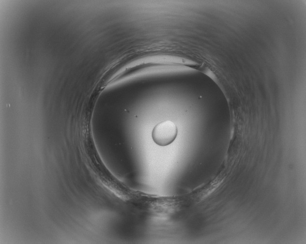 X0000060780164200511101349