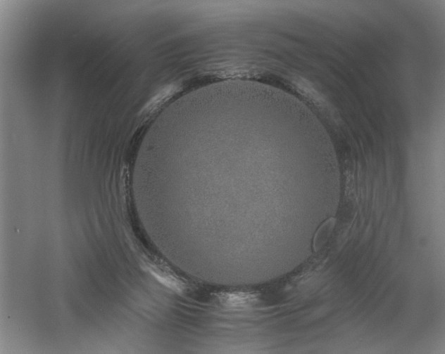 X0000060780165200511101349