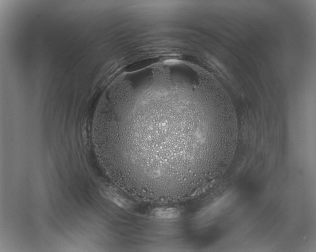 X0000060780169200511101349