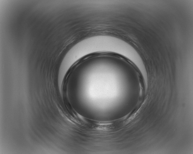 X0000060780171200511101349