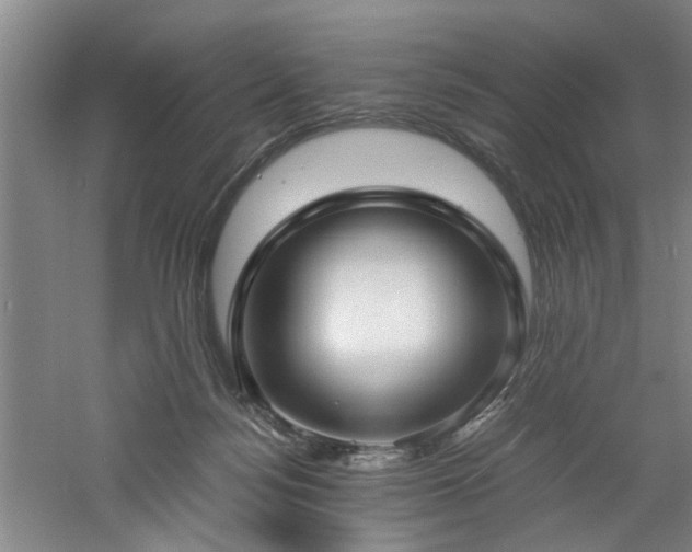 X0000060780172200511101349