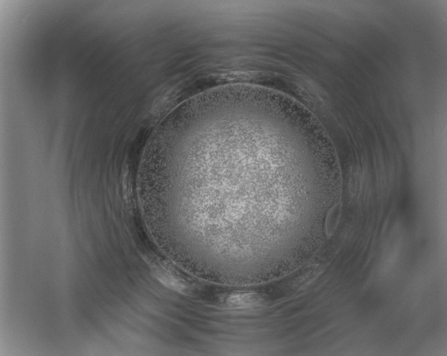 X0000060780173200511101349