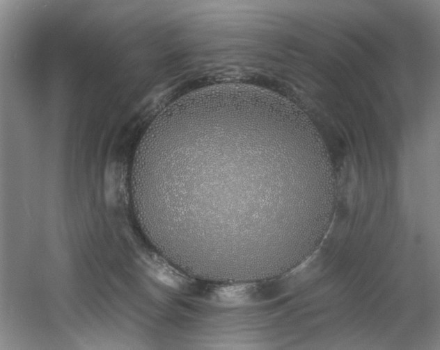 X0000060780178200511101349