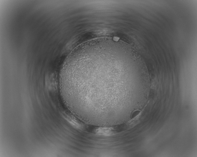 X0000060780179200511101349