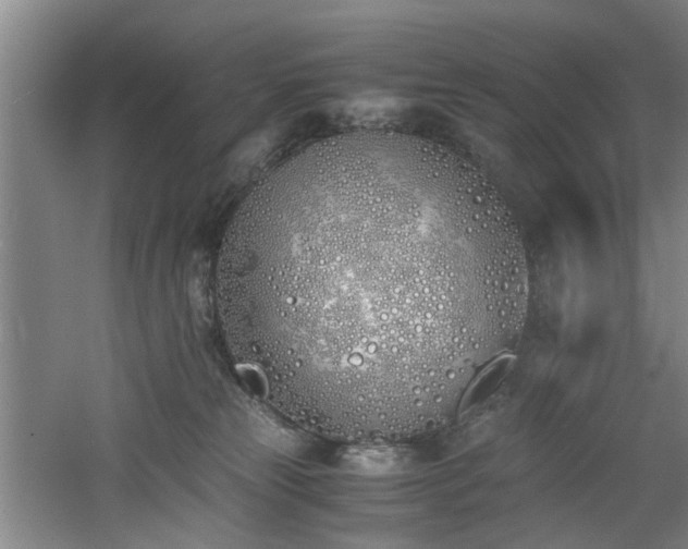 X0000060780181200511101349