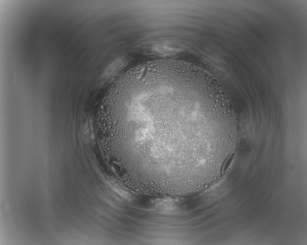 X0000060780182200511101349