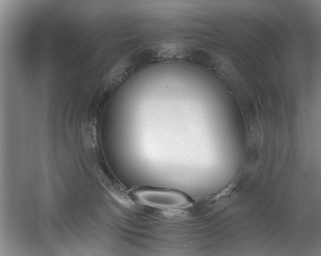 X0000060780183200511101349