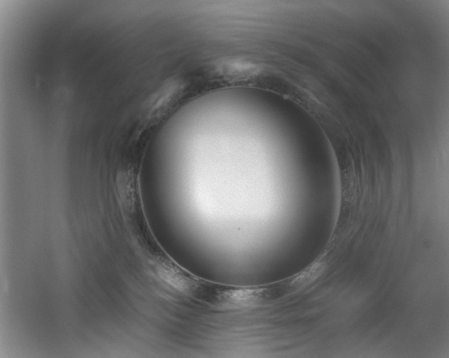 X0000060780184200511101349