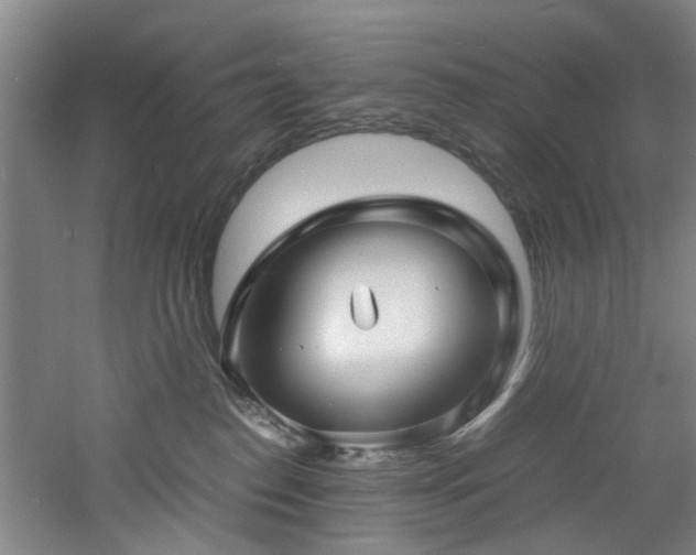 X0000060780186200511101349