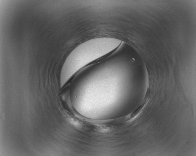 X0000060780187200511101349