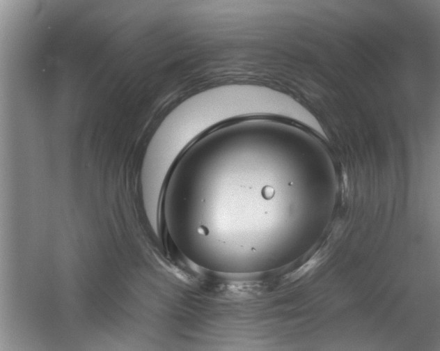 X0000060780188200511101349