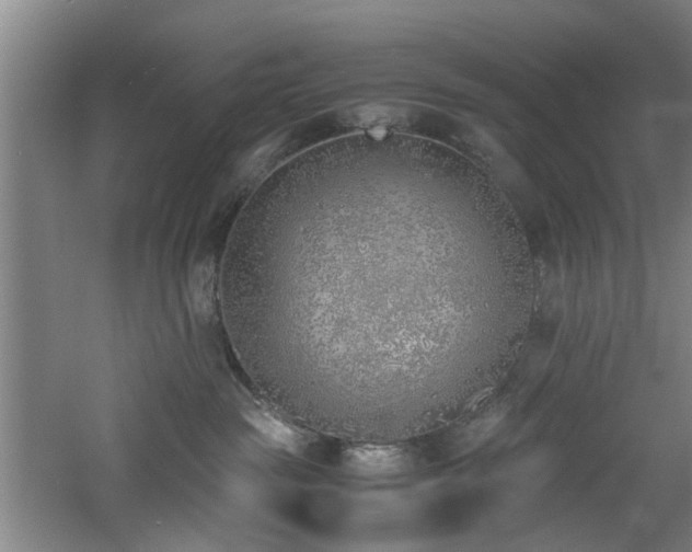 X0000060780189200511101349