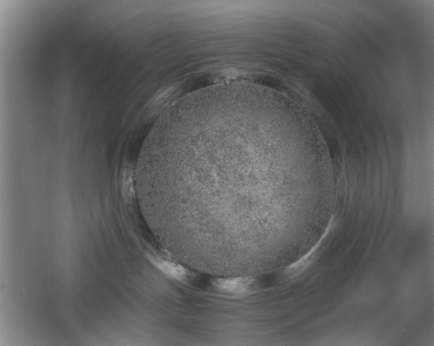 X0000060780191200511101349