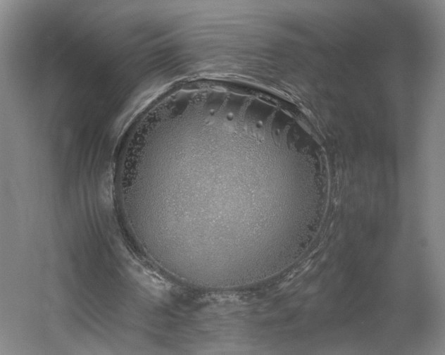 X0000060780194200511101348