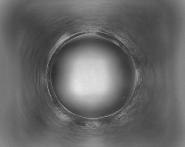 X0000060780195200511101348