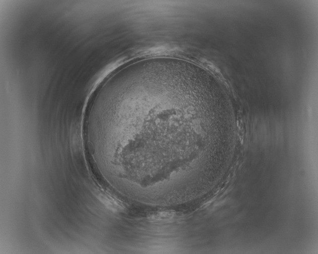 X0000060780196200511101348