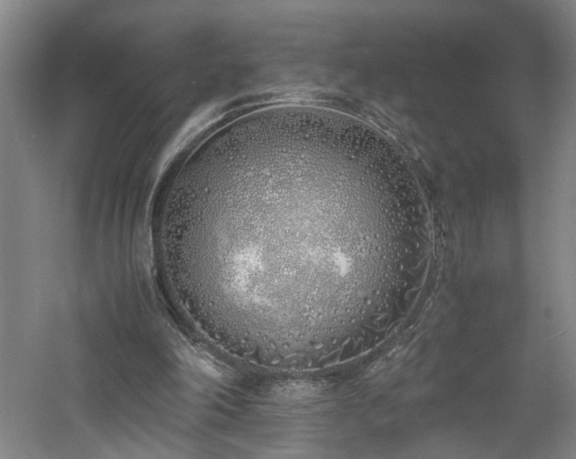 X0000060780198200511101348