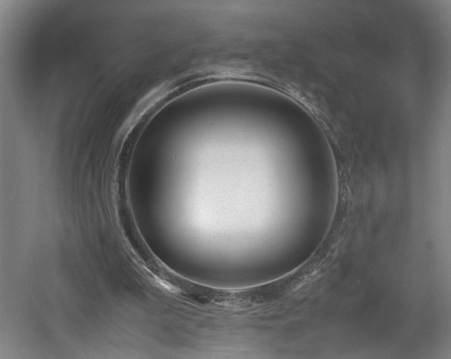 X0000060780199200511101348