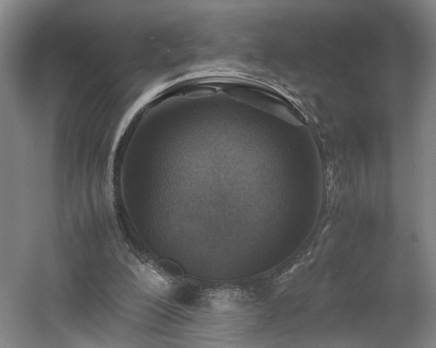 X0000060780200200511101348