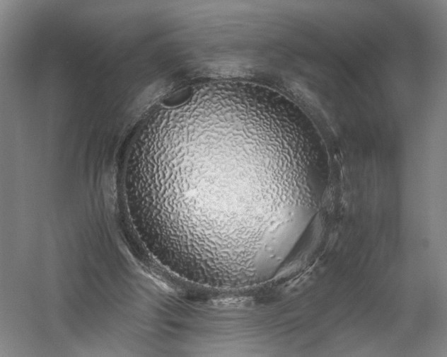 X0000060780202200511101348