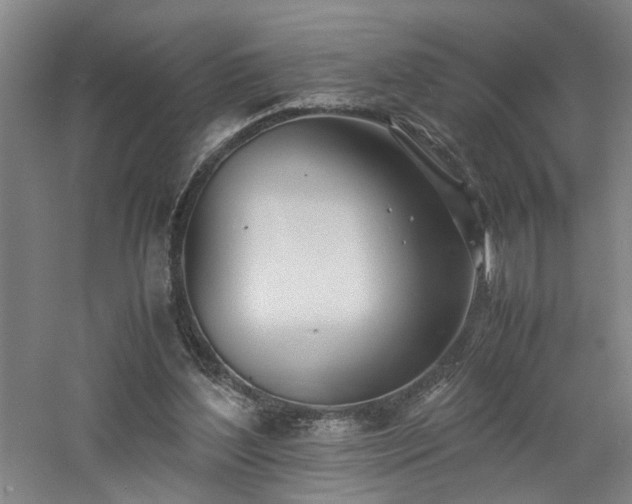 X0000060780204200511101348