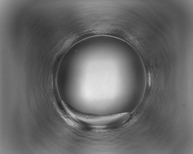 X0000060780205200511101348