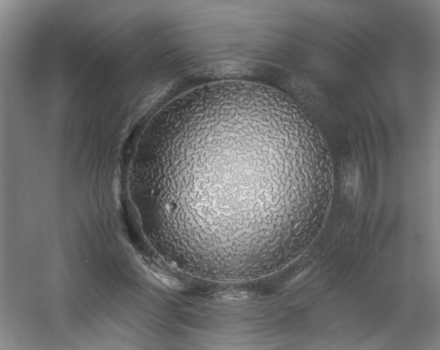 X0000060780206200511101348