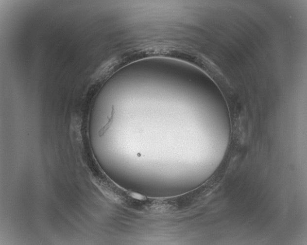 X0000060780209200511101348