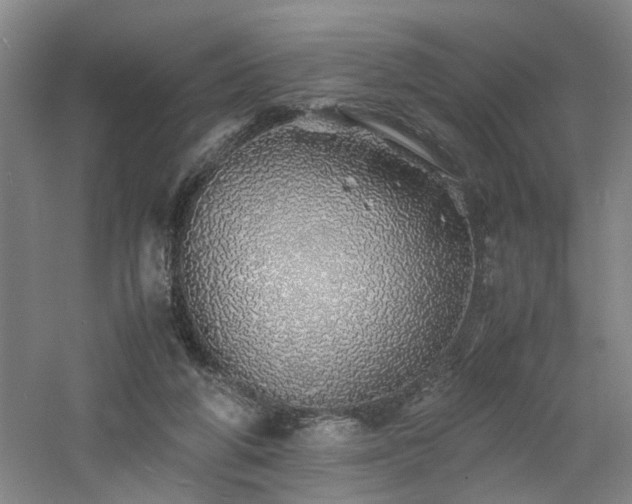 X0000060780210200511101348