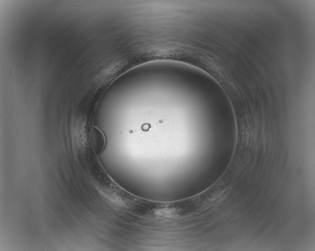 X0000060780216200511101348