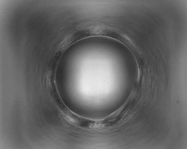 X0000060780217200511101348