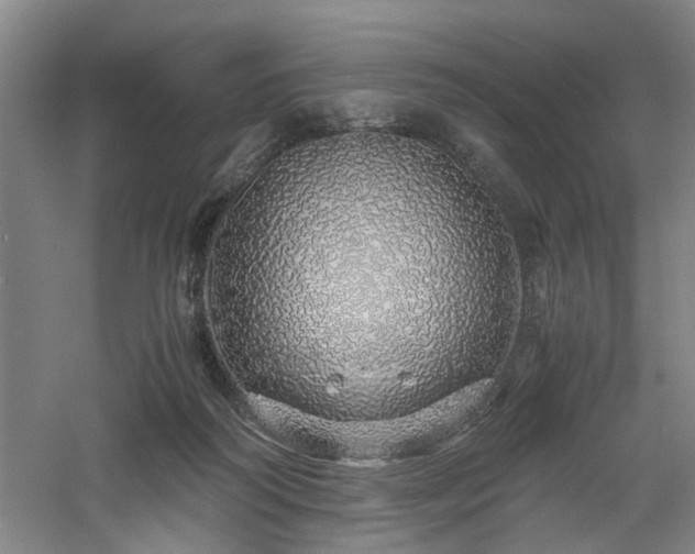 X0000060780218200511101348