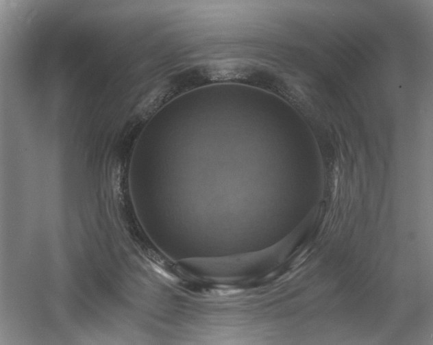 X0000060780219200511101348