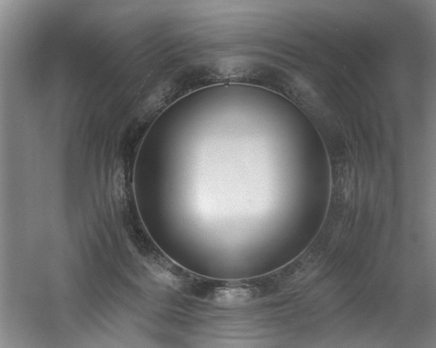 X0000060780220200511101348