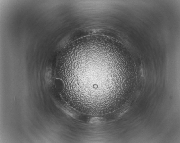 X0000060780222200511101348