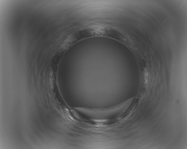 X0000060780223200511101348