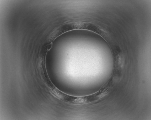 X0000060780225200511101348