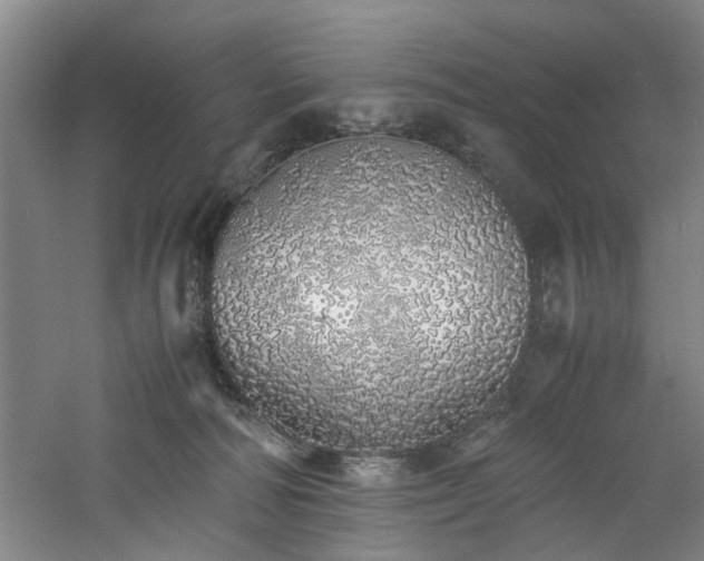 X0000060780226200511101348