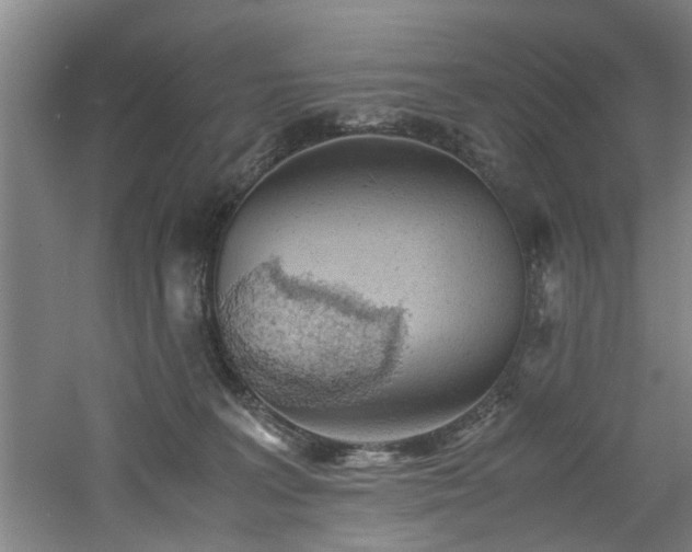 X0000060780227200511101348