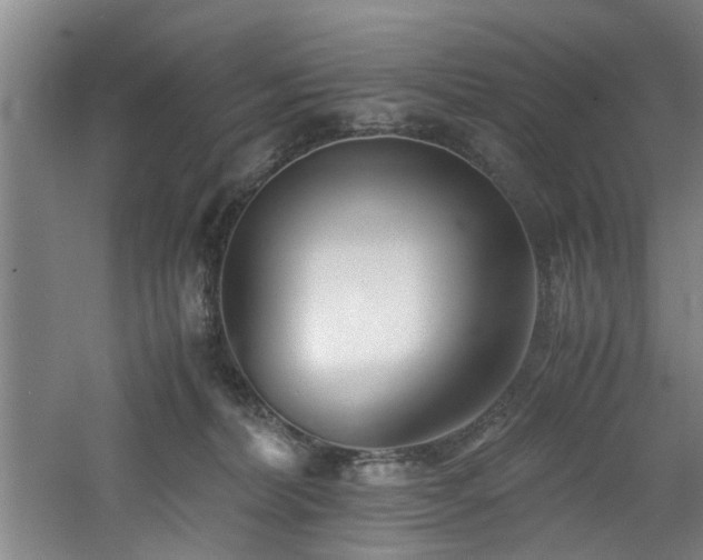 X0000060780228200511101348