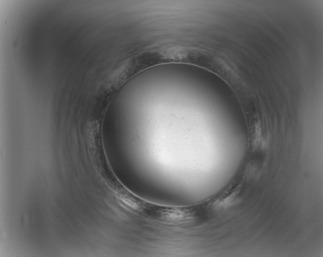 X0000060780229200511101348